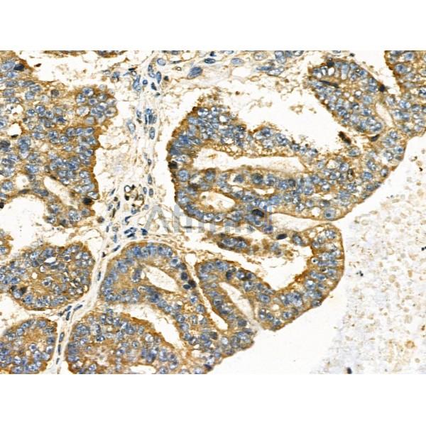 Валидация Affinity DF4790 - 16524