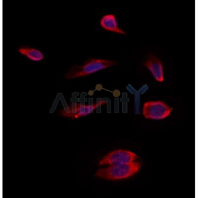 Валидация Affinity DF12455 - 6995