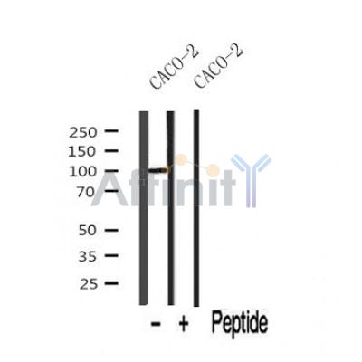 Валидация Affinity AF7027 - 4179