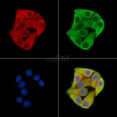 Валидация Affinity DF15218 - 11492