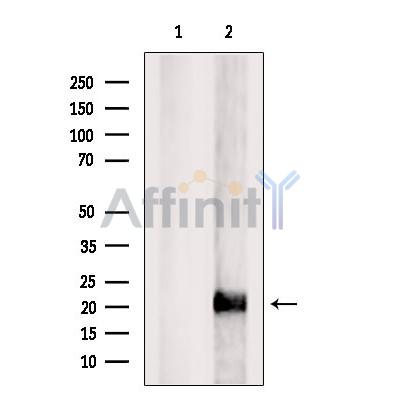 Валидация Affinity DF3668 - 14671