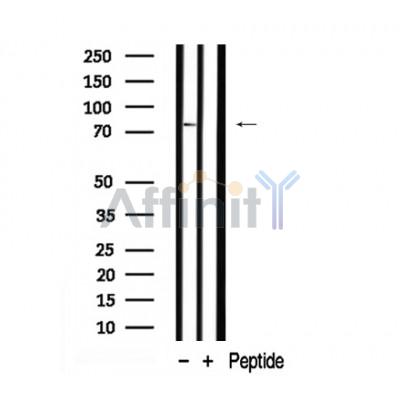 Валидация Affinity AF7902 - 4646