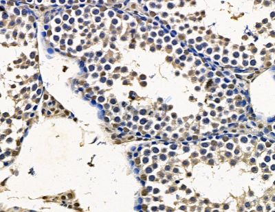 Валидация Affinity DF15352 - 11653