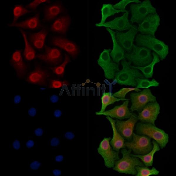 Валидация Affinity AF9214 - 5049