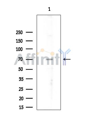Валидация Affinity DF8106 - 19950