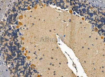 Валидация Affinity DF14185 - 9999