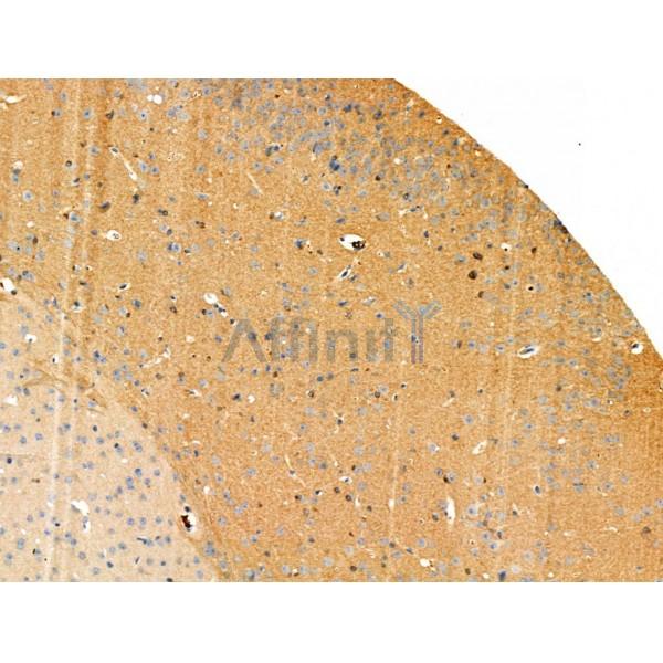 Валидация Affinity AF3944 - 2079