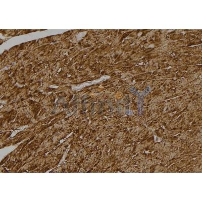 Валидация Affinity AF5381 - 3010