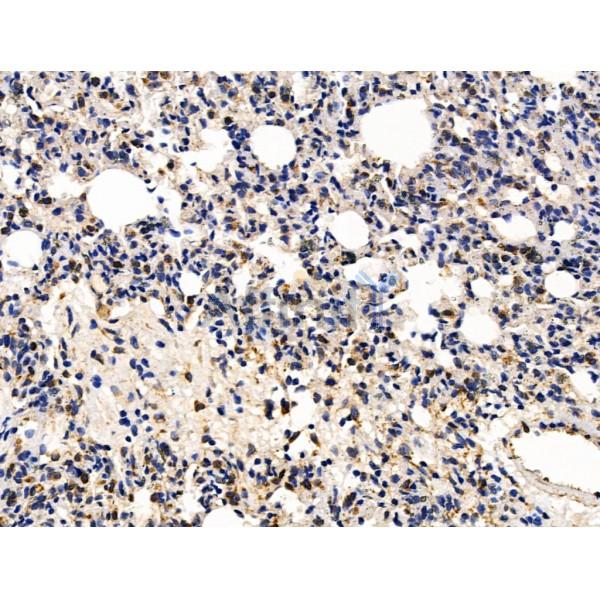 Валидация Affinity DF13347 - 8550