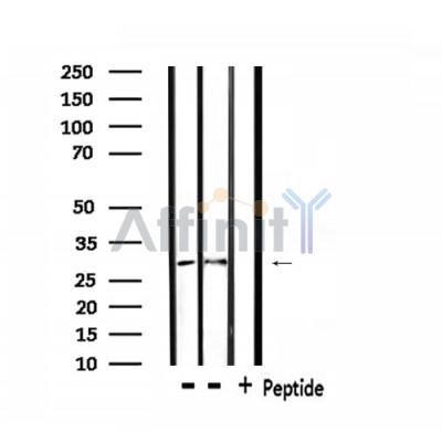 Валидация Affinity DF3244 - 14083