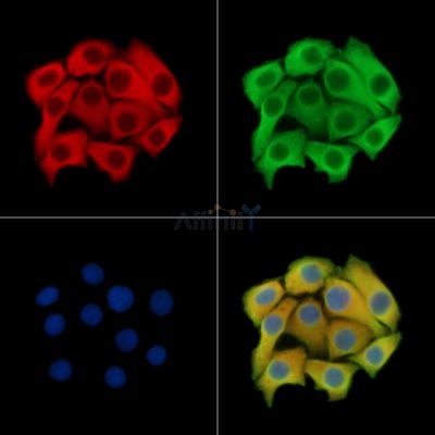 Валидация Affinity DF14689 - 10745