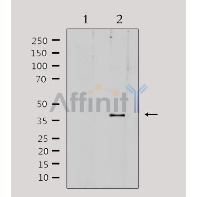 Валидация Affinity DF3965 - 15179