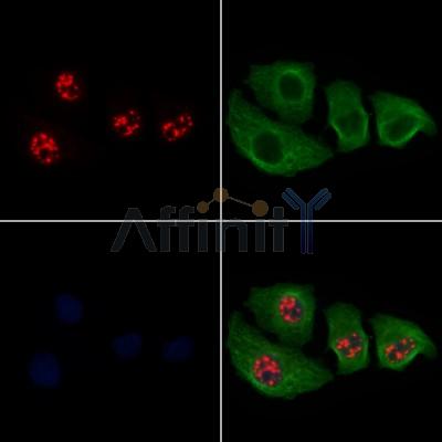 Валидация Affinity AF6243 - 3487