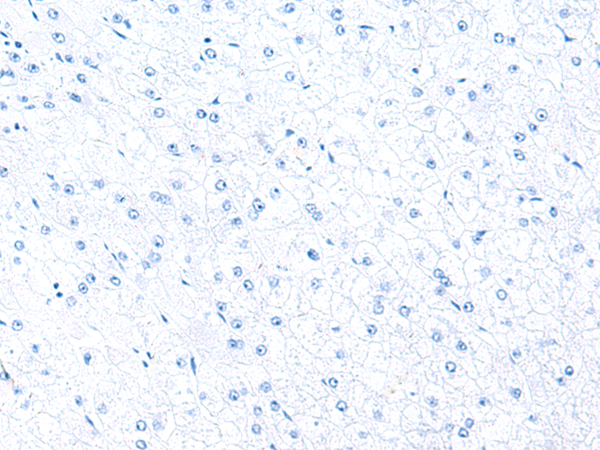 Валидация AssayVector ARM2506(4484)