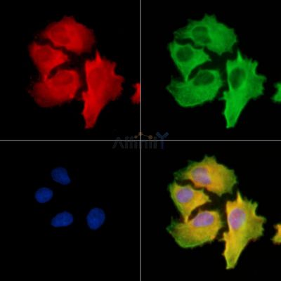 Валидация Affinity DF9884 - 22834