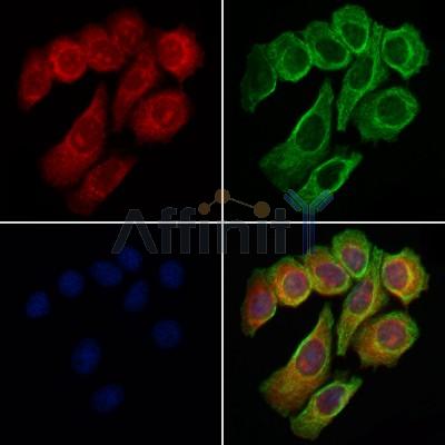 Валидация Affinity DF6059 - 17271