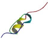 Zinc Finger Protein 323 (ZNF323)