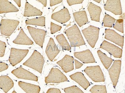 Валидация Affinity DF16094 - 12661