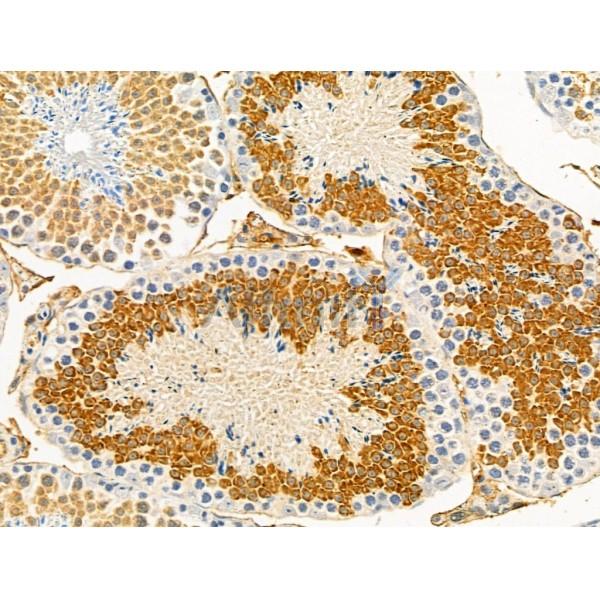 Валидация Affinity DF13087 - 7971