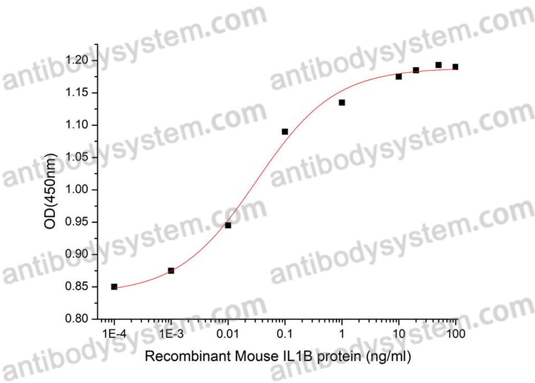 Валидация активности AntibodySystem AMB95601