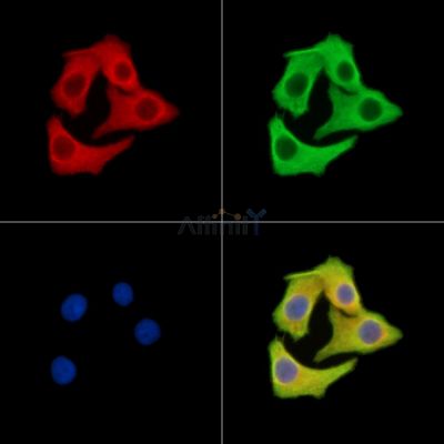 Валидация Affinity DF14876 - 11020