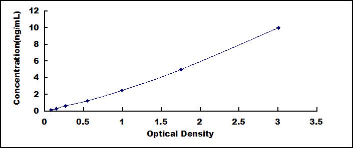 52466