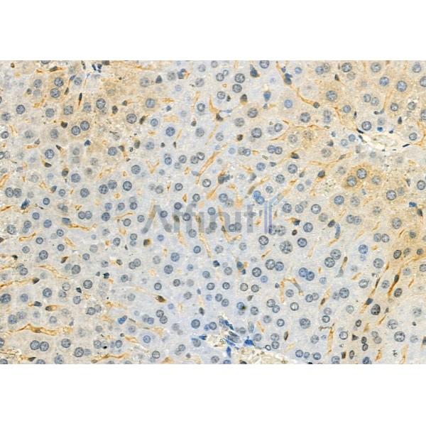 Валидация Affinity DF9941 - 22943