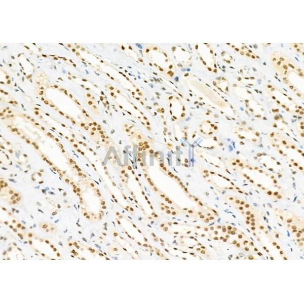 Валидация Affinity DF9947 - 22953