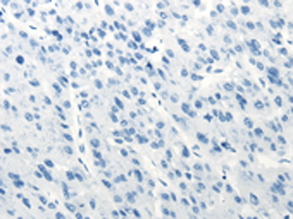 Валидация AssayVector ARM1244(636)