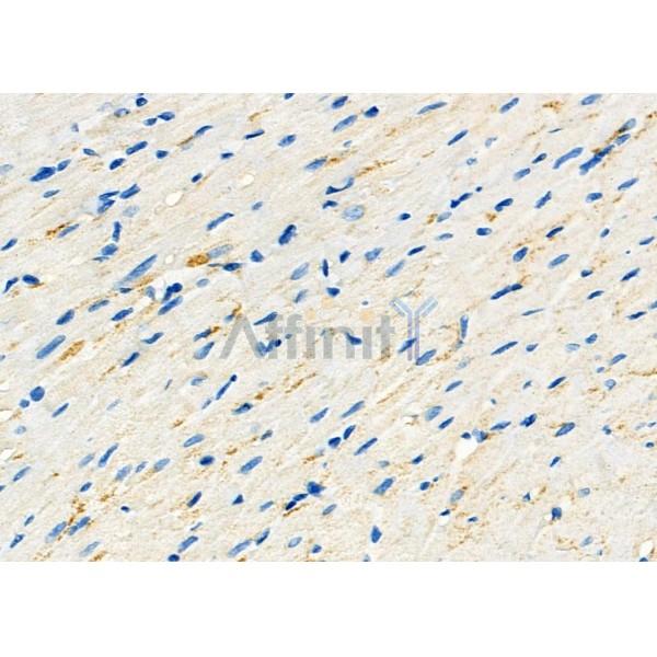 Валидация Affinity DF7316 - 19007