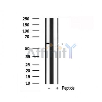 Валидация Affinity AF7886 - 4629