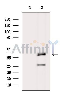 Валидация Affinity DF13917 - 9655
