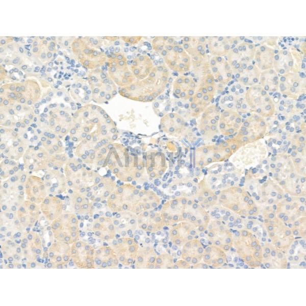 Валидация Affinity DF13310 - 8462