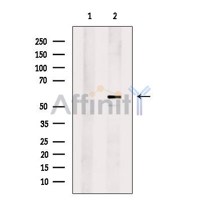 Валидация Affinity DF7178 - 18839