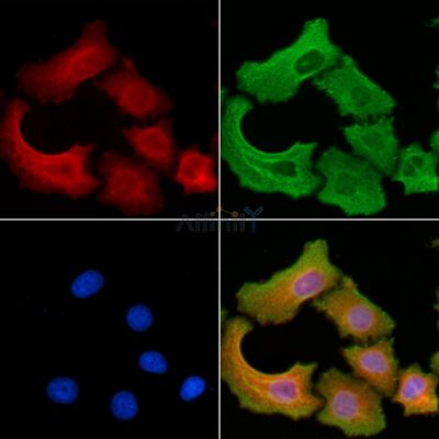 Валидация Affinity DF6129 - 17356