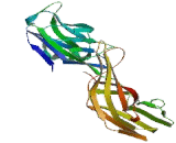 Thioredoxin Binding Protein 2 (TBP2)