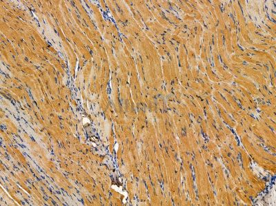 Валидация Affinity DF14117 - 9909