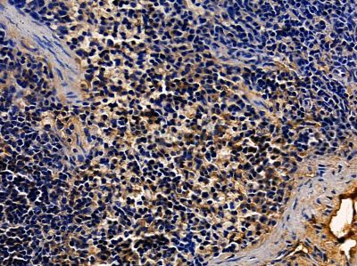 Валидация Affinity DF7836 - 19648