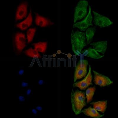 Валидация Affinity DF13599 - 9091