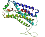 Free Fatty Acid Receptor 4 (FFAR4) Free Fatty Acid Receptor 4 (FFAR4)