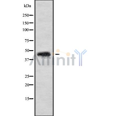 Валидация Affinity DF10092 - 5584