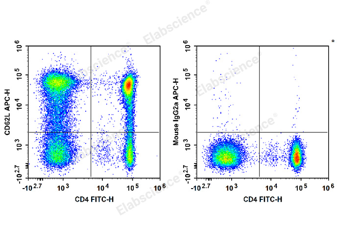Валидация Elabscience E-AB-F1336E