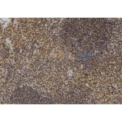 Валидация Affinity DF6624 - 18088