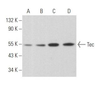 Валидация AssayVector ARM1850(2444)