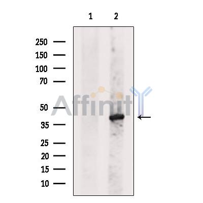 Валидация Affinity DF6245 - 17532