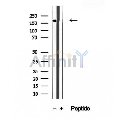 Валидация Affinity DF12415 - 6913
