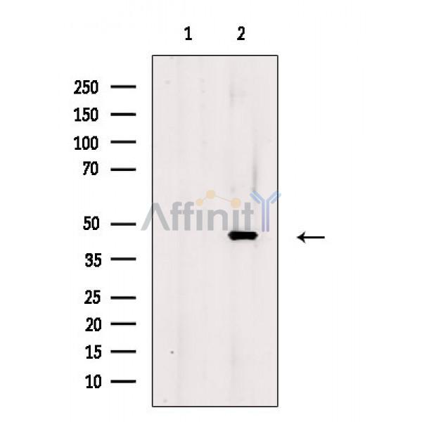 Валидация Affinity DF2365 - 12939
