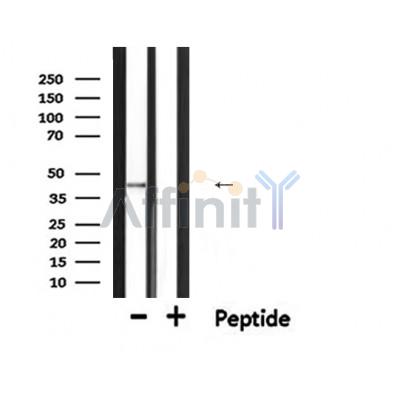 Валидация Affinity DF6313 - 17639