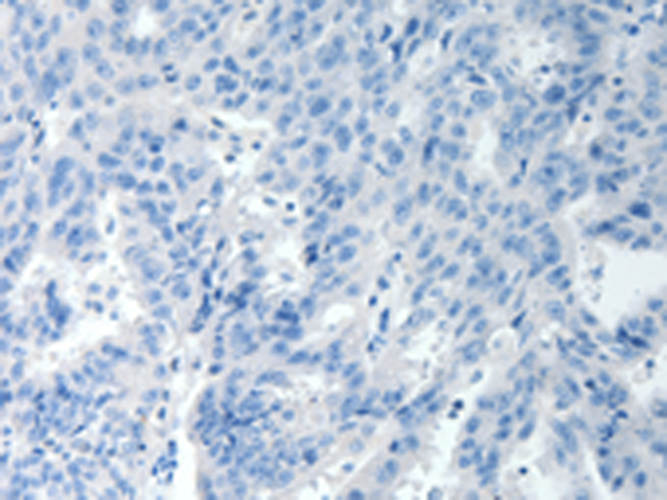 Валидация AssayVector ARM1682(1906)