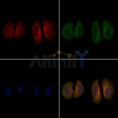 Валидация Affinity DF8515 - 20380